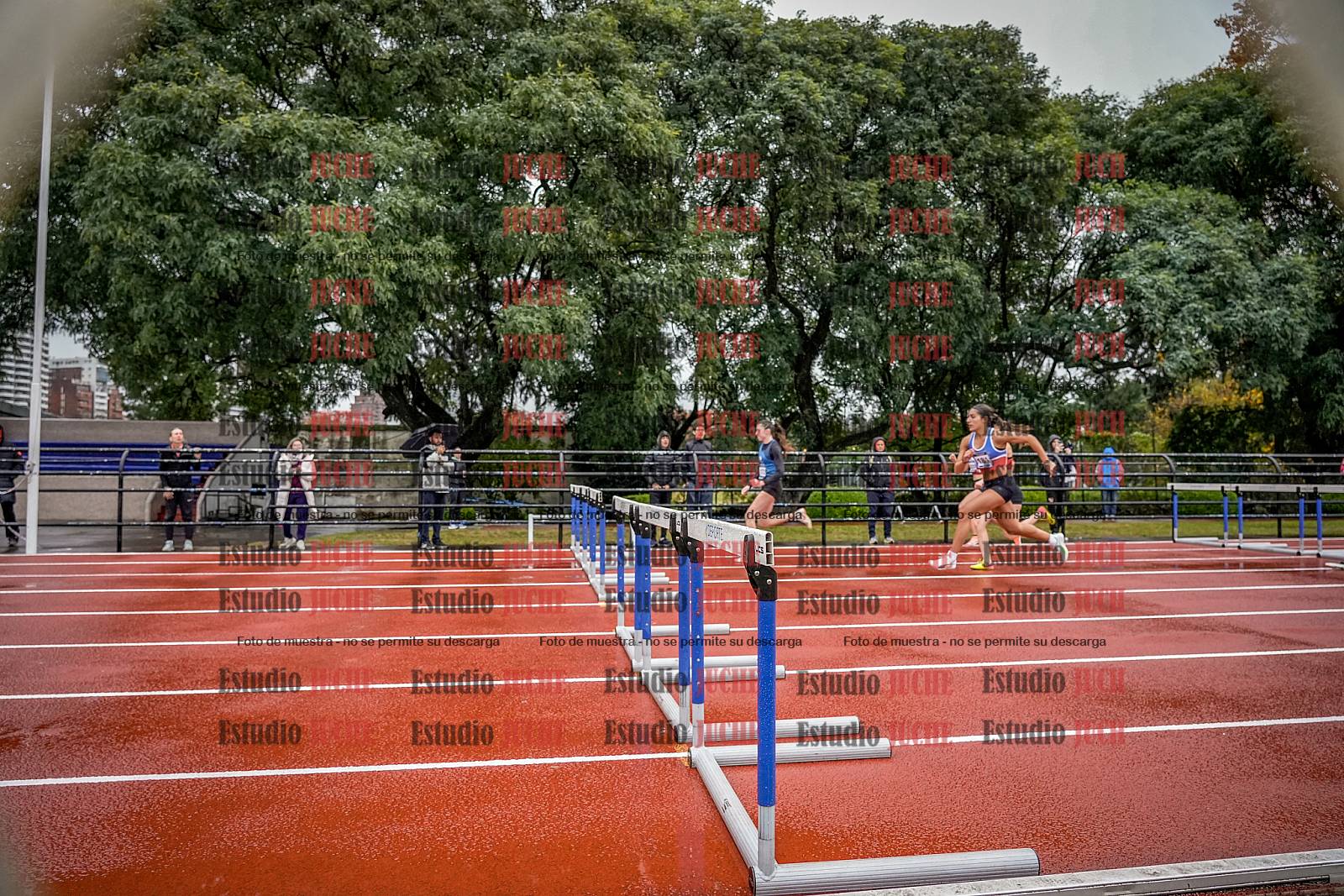 Fotos de los 100 m con vallas de mujeres - FINAL