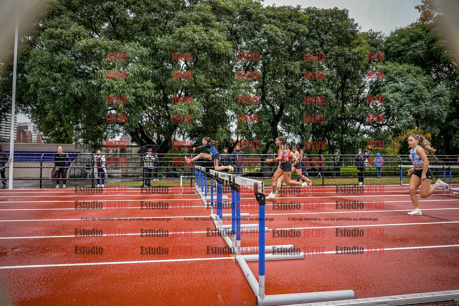 Fotos de los 100 m con vallas de mujeres - FINAL