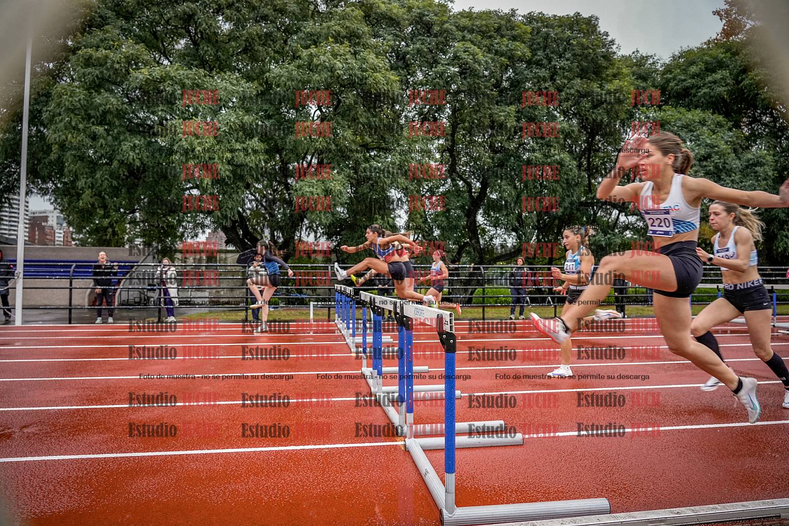 Fotos de los 100 m con vallas de mujeres - FINAL
