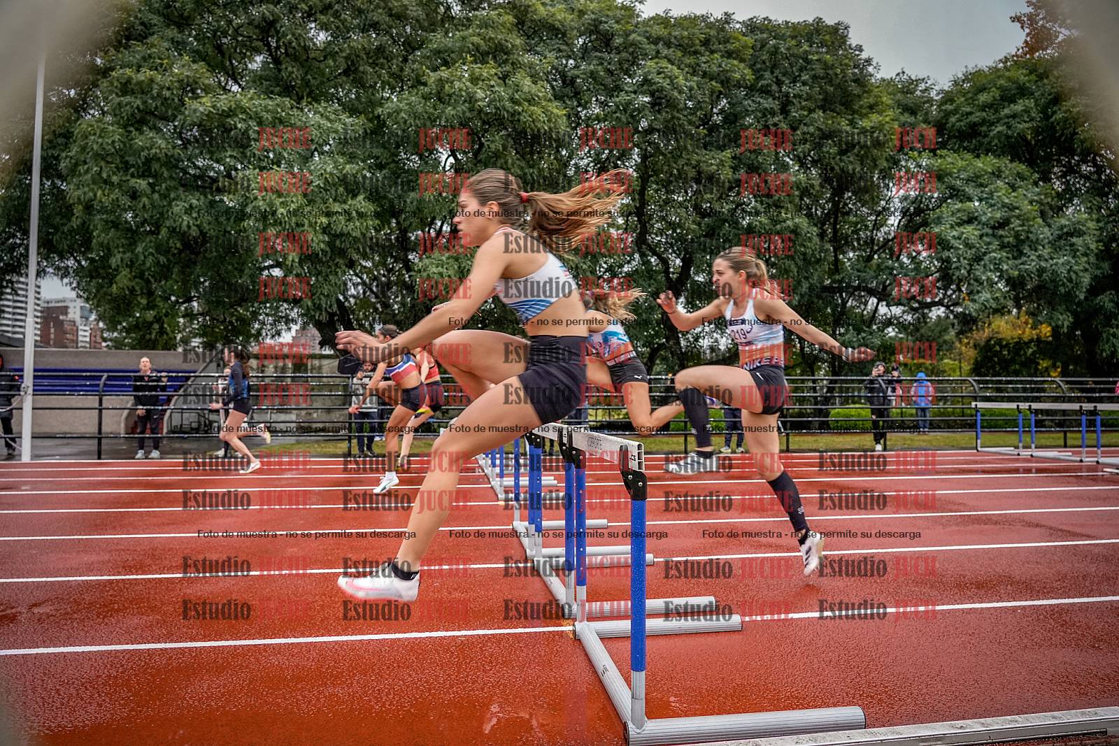 Fotos de los 100 m con vallas de mujeres - FINAL