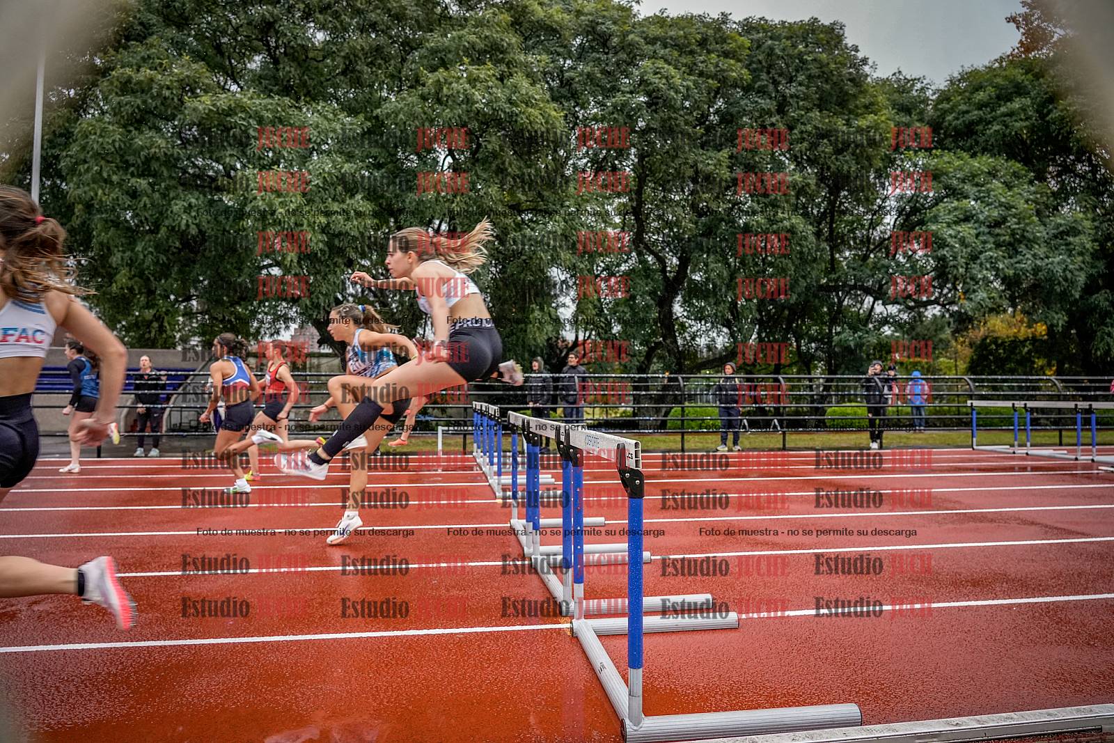 Fotos de los 100 m con vallas de mujeres - FINAL