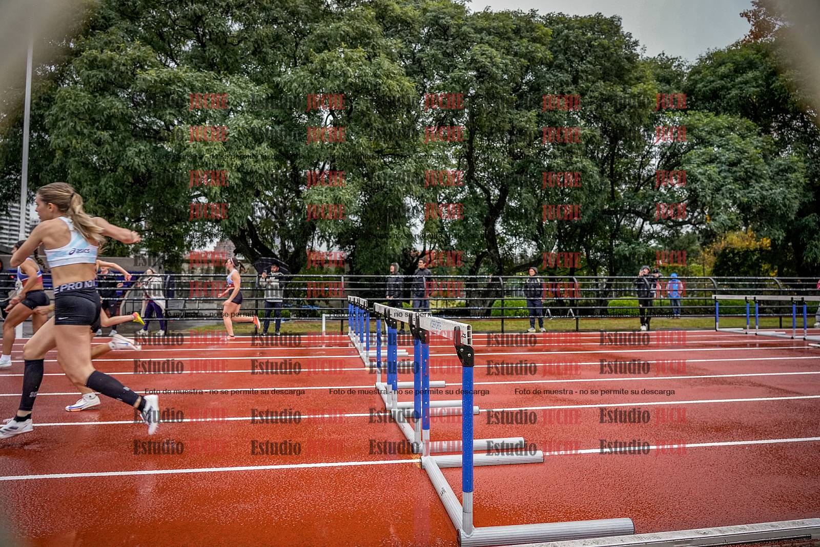 Fotos de los 100 m con vallas de mujeres - FINAL