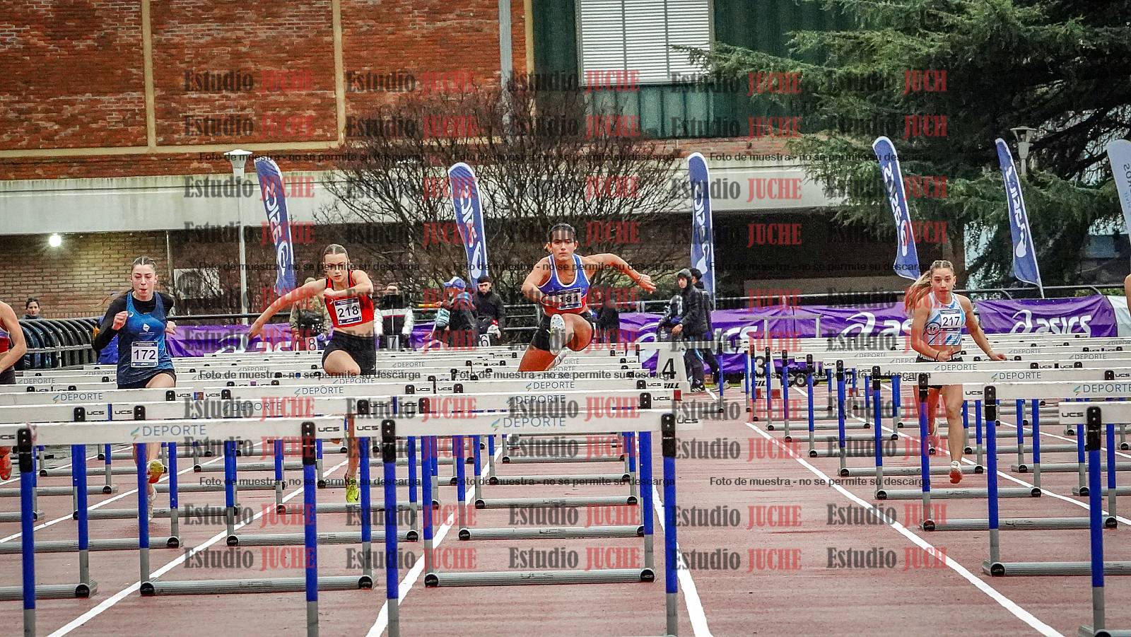 Fotos de los 100 m con vallas de mujeres - FINAL