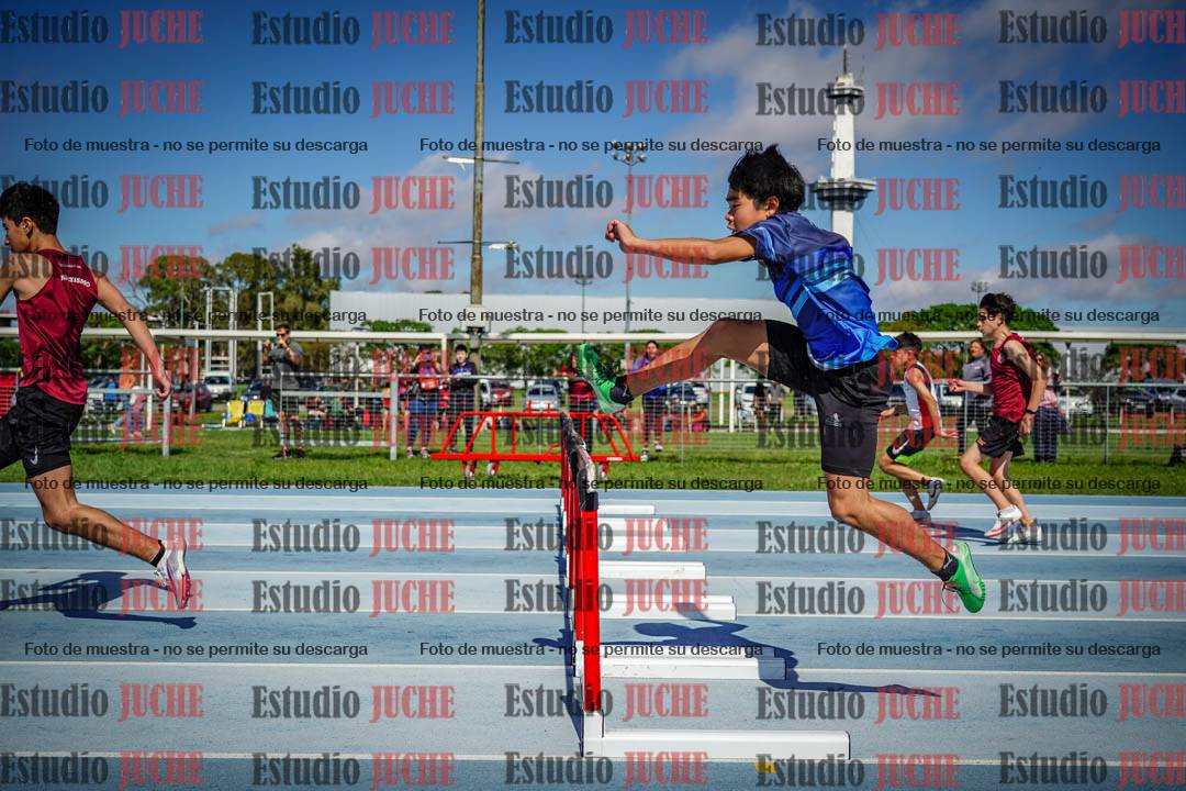 Fotos de los 80 m con vallas de varones
