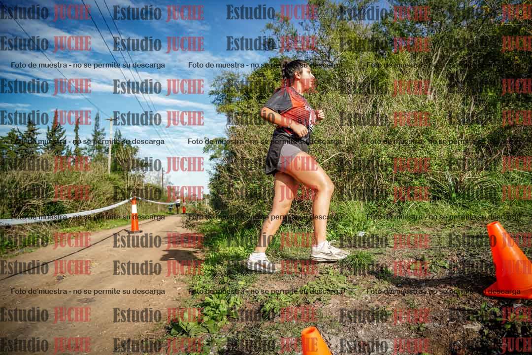 Fotos en el circuito