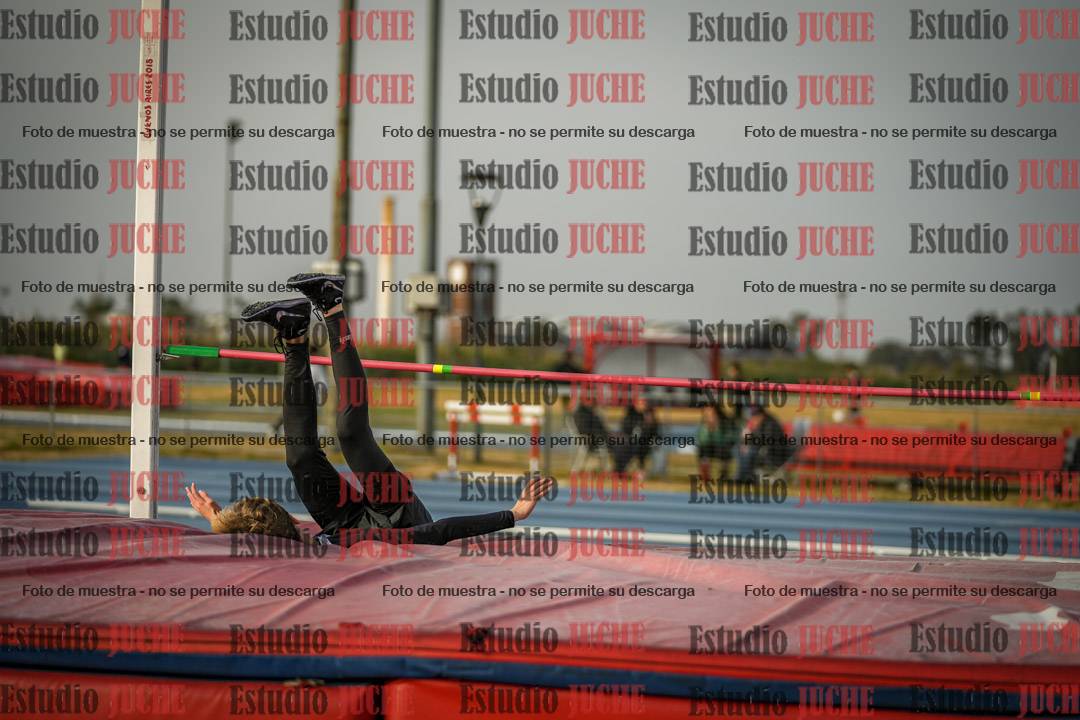 Fotos del salto en alto de varones