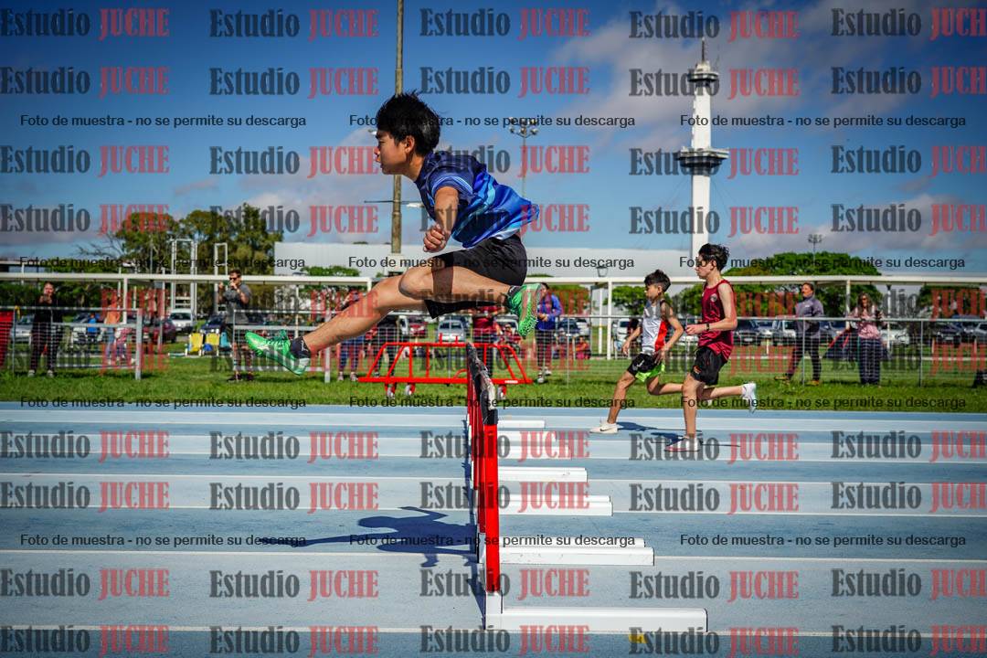 Fotos de los 80 m con vallas de varones