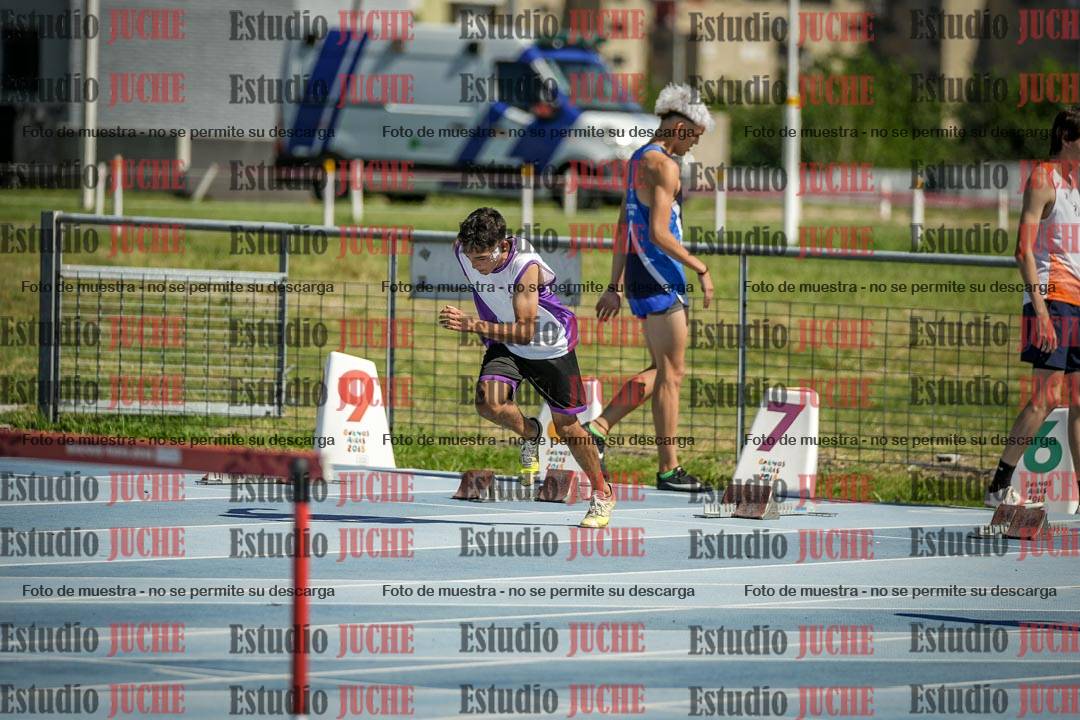 Fotos de los 110 m con vallas de varones