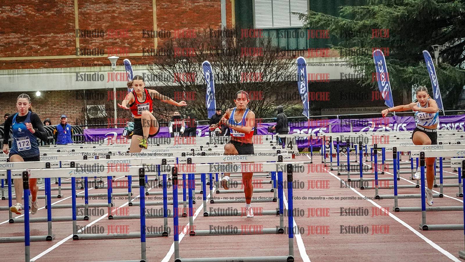 Fotos de los 100 m con vallas de mujeres - FINAL