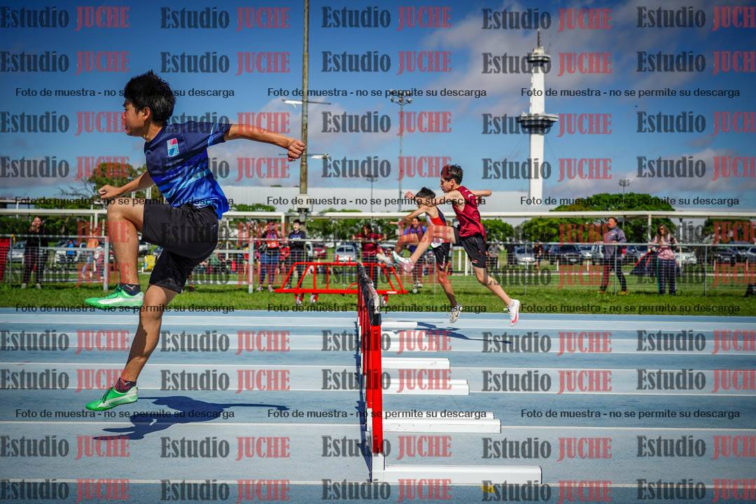 Fotos de los 80 m con vallas de varones