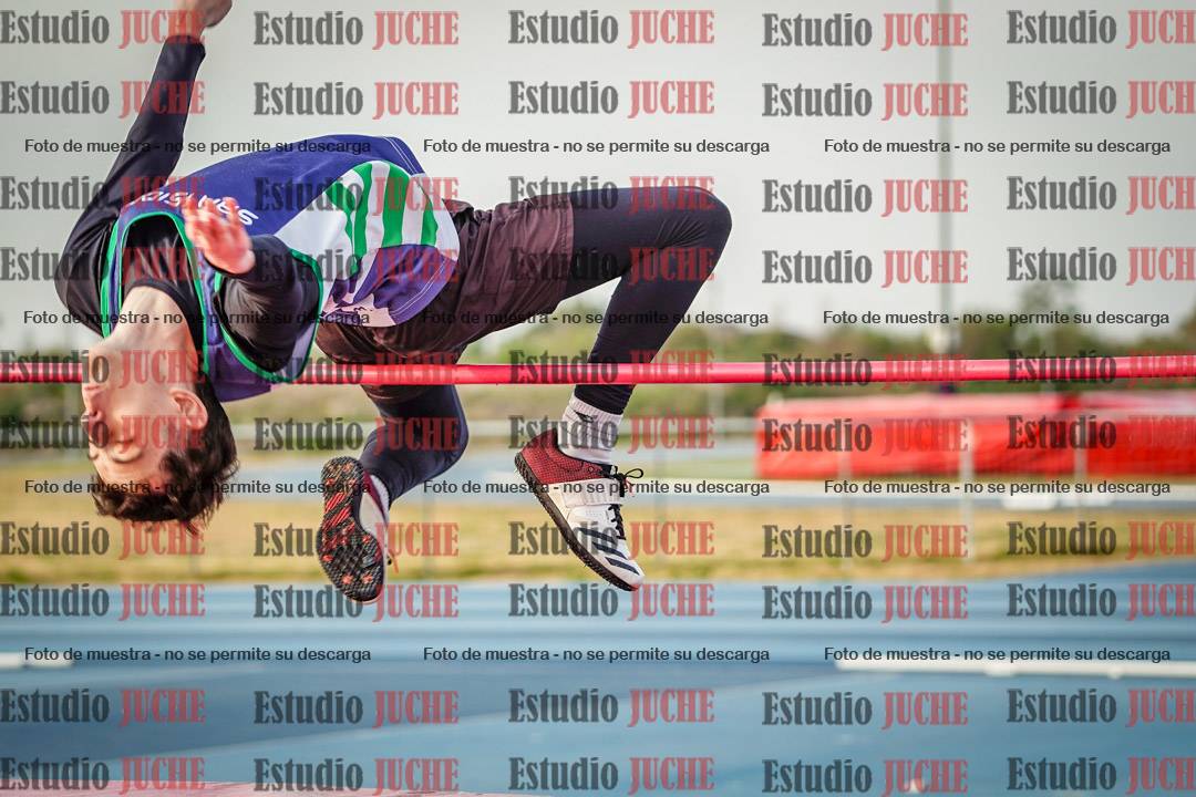 Fotos del salto en alto de varones