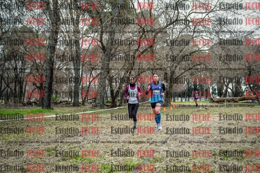 Fotos en el circuito