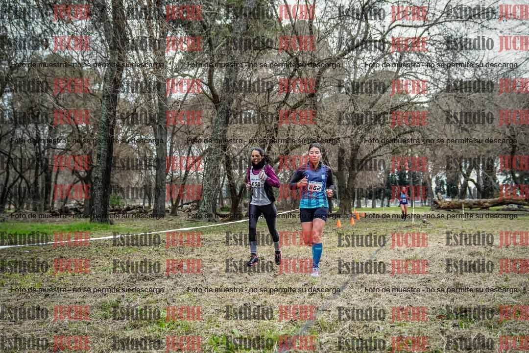 Fotos en el circuito
