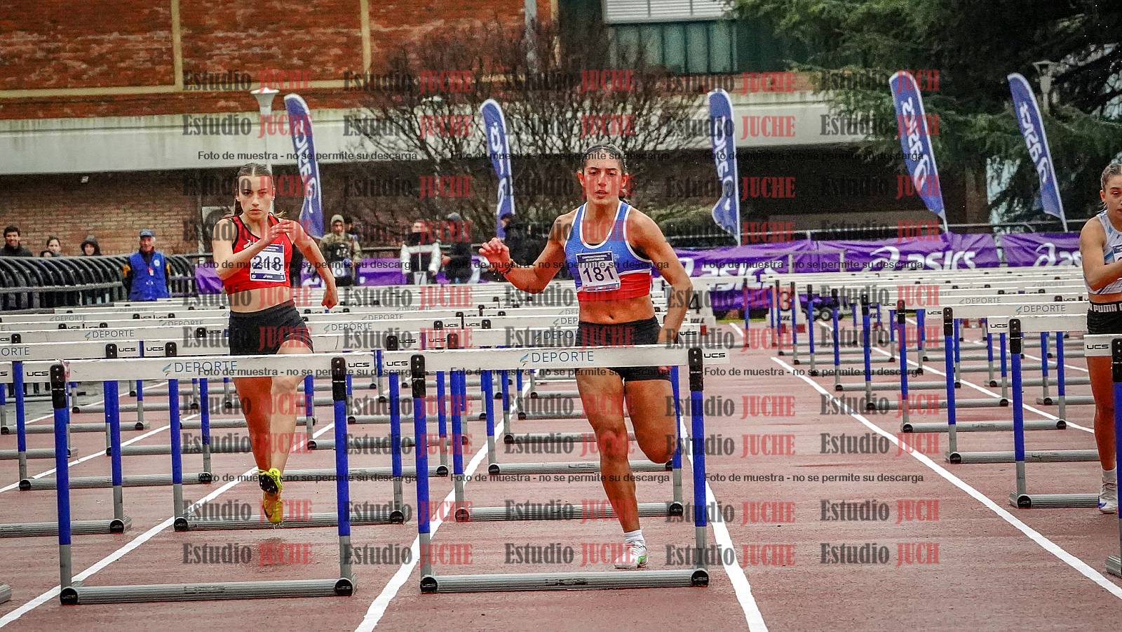 Fotos de los 100 m con vallas de mujeres - FINAL