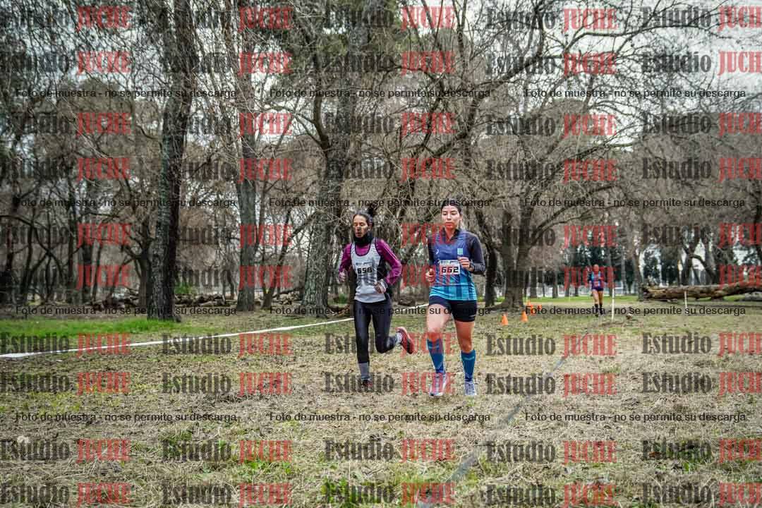 Fotos en el circuito