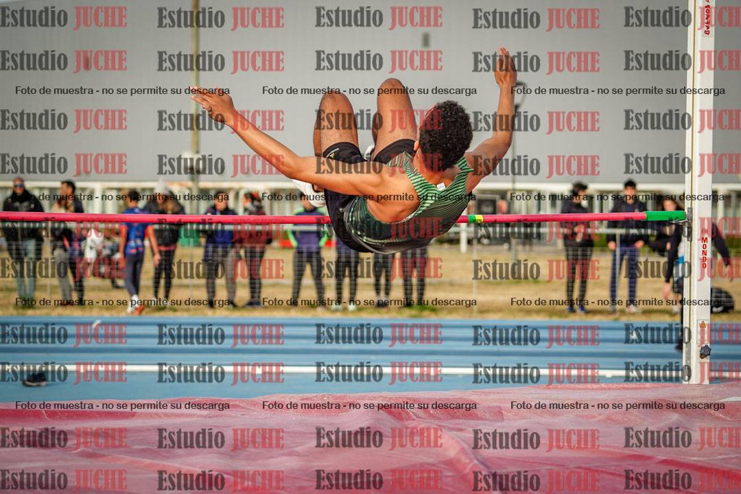 Fotos del salto en alto de varones
