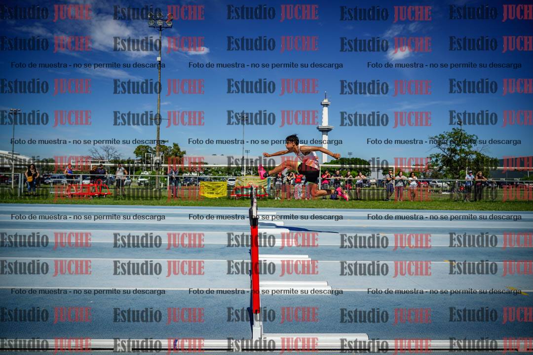 Fotos de los 110 m con vallas de varones