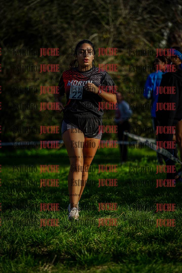 Fotos en el circuito