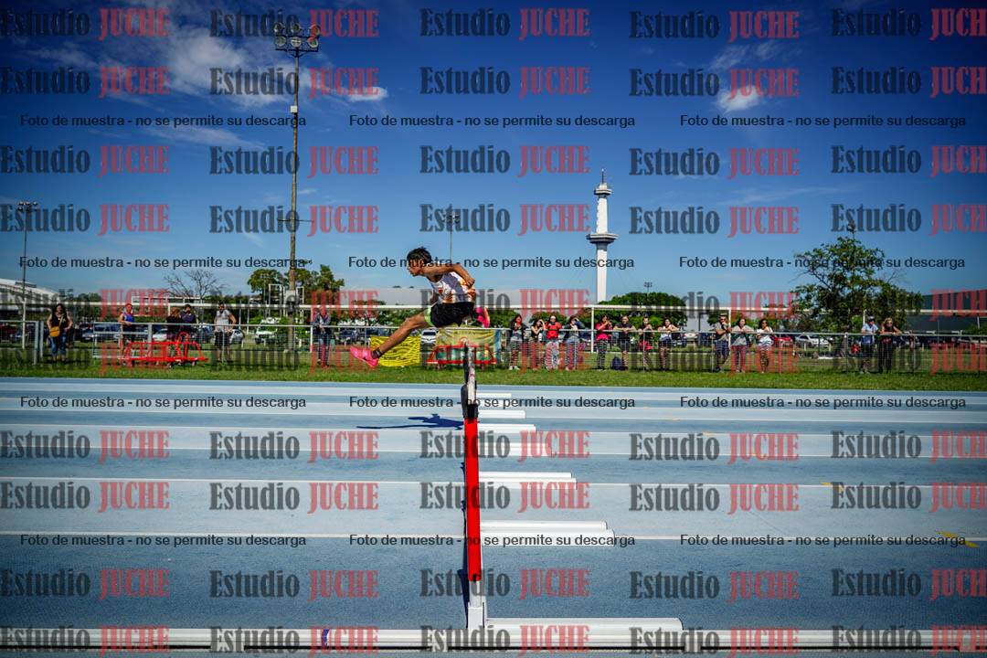 Fotos de los 110 m con vallas de varones