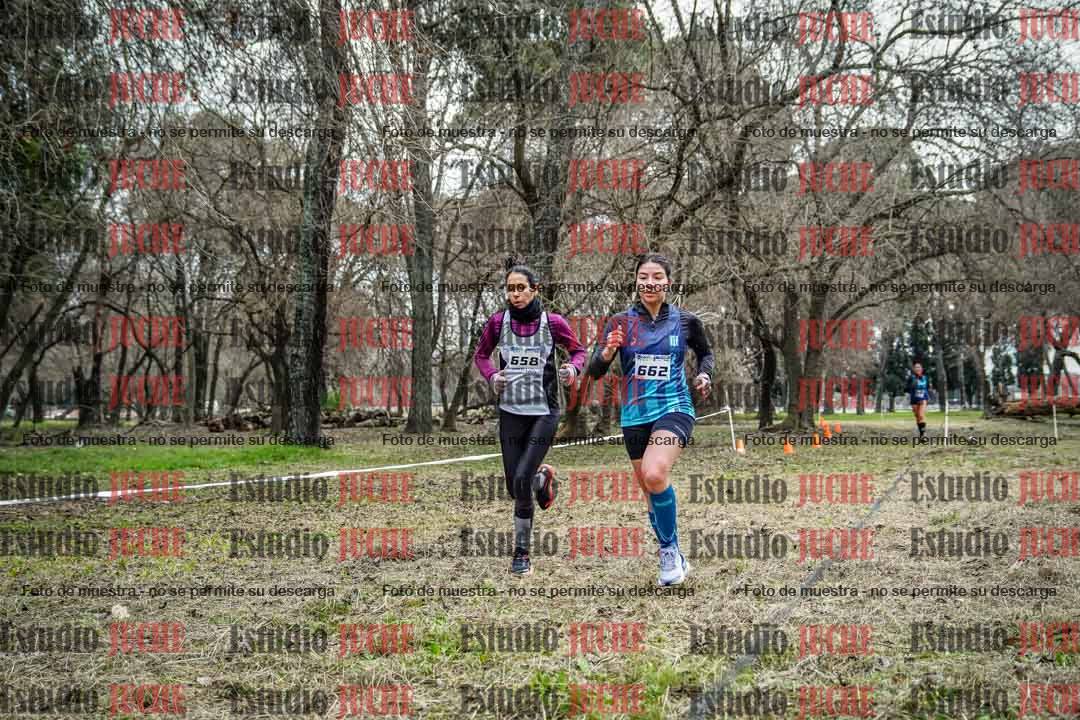 Fotos en el circuito