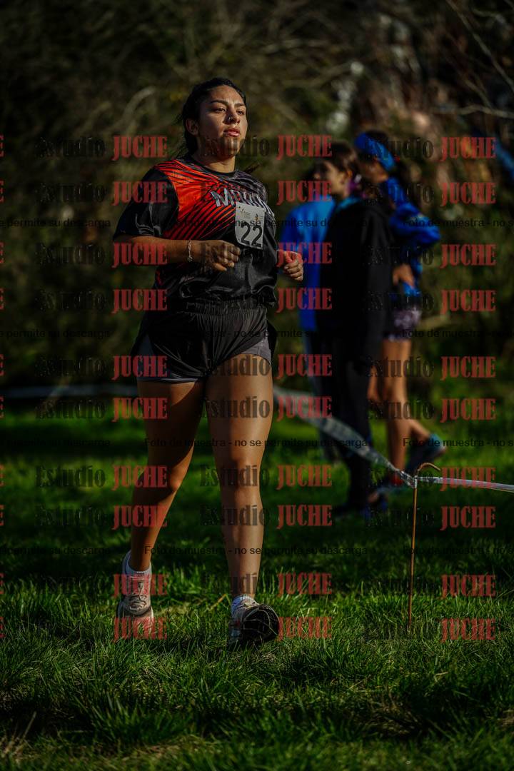 Fotos en el circuito