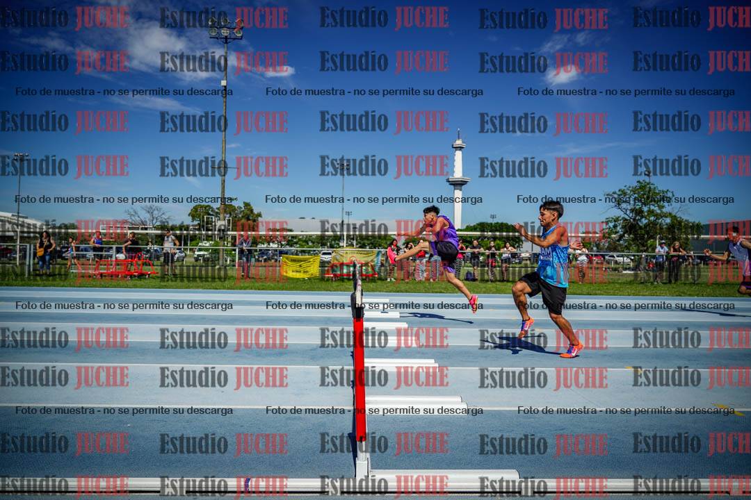 Fotos de los 110 m con vallas de varones