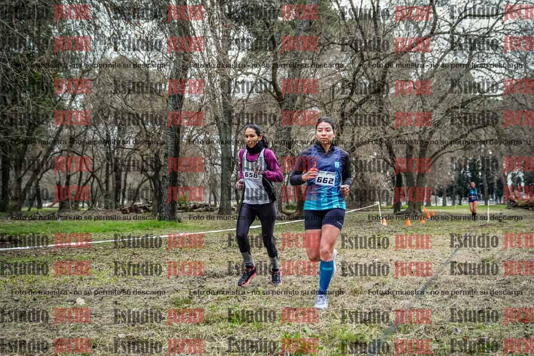 Fotos en el circuito
