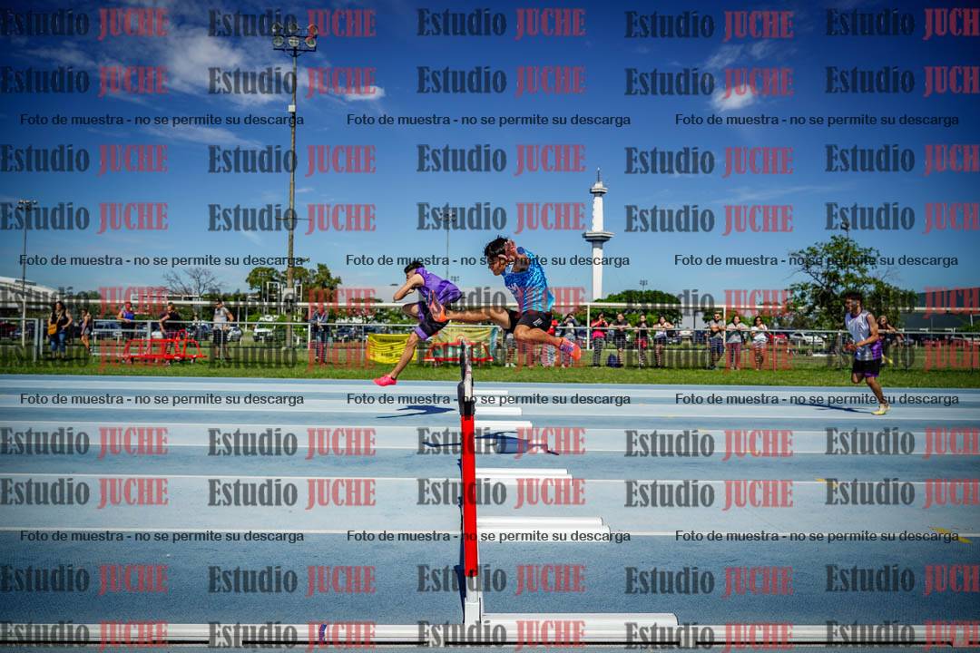 Fotos de los 110 m con vallas de varones