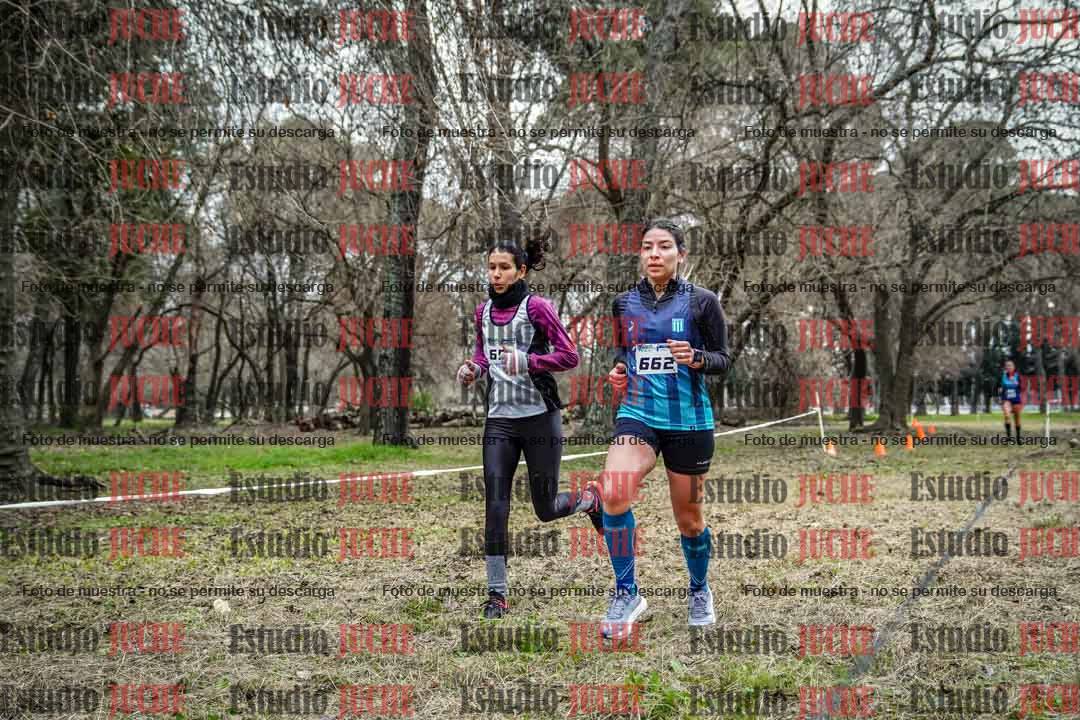 Fotos en el circuito
