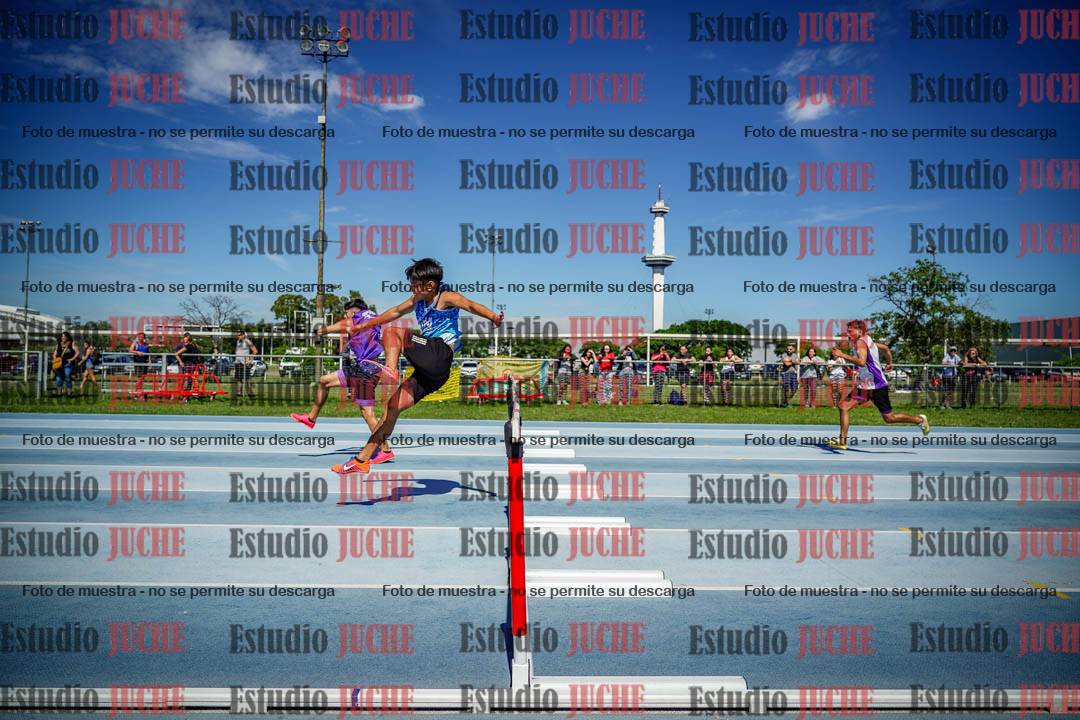 Fotos de los 110 m con vallas de varones