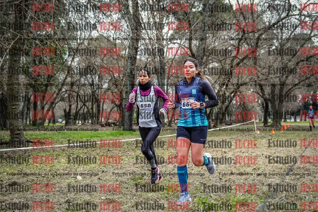Fotos en el circuito