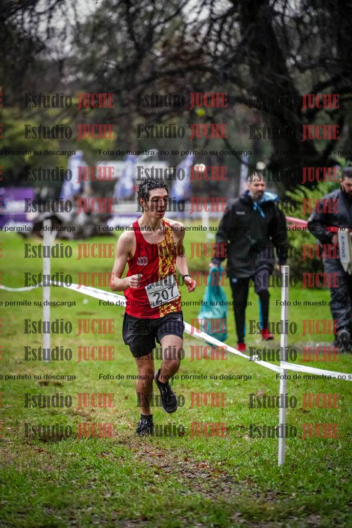 Fotos en el circuito