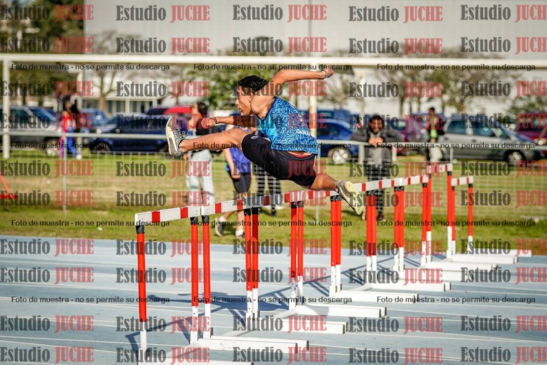 Fotos de los 110 m con vallas de mujeres