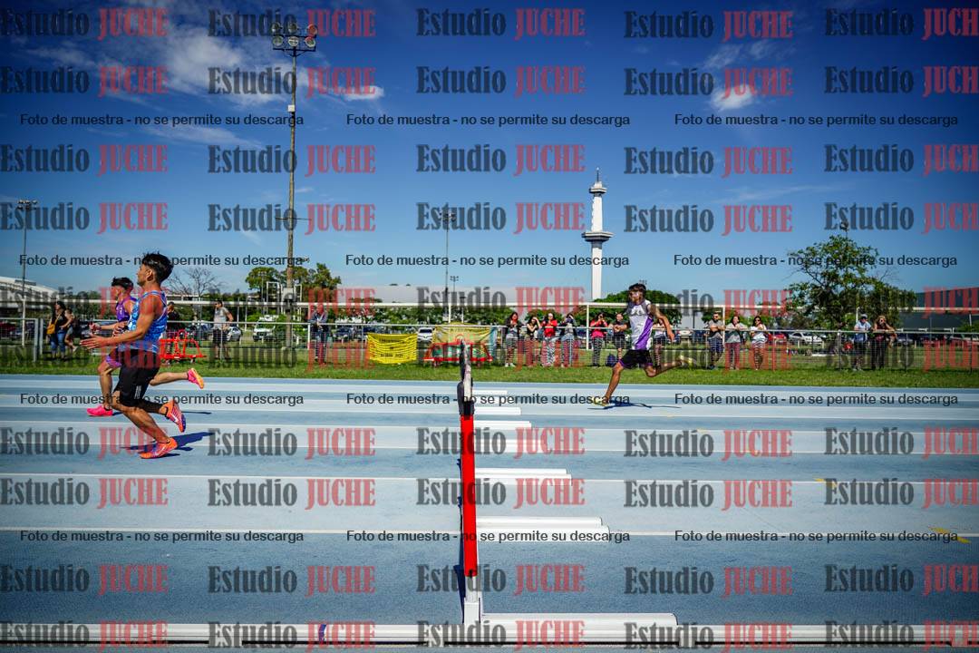Fotos de los 110 m con vallas de varones