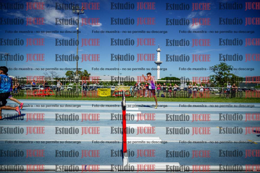 Fotos de los 110 m con vallas de varones