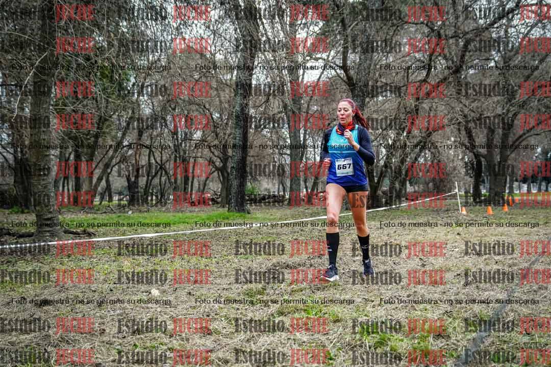 Fotos en el circuito