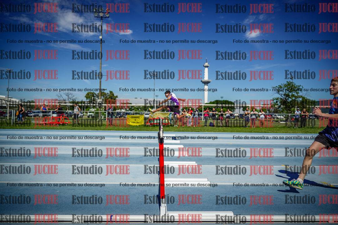 Fotos de los 110 m con vallas de varones