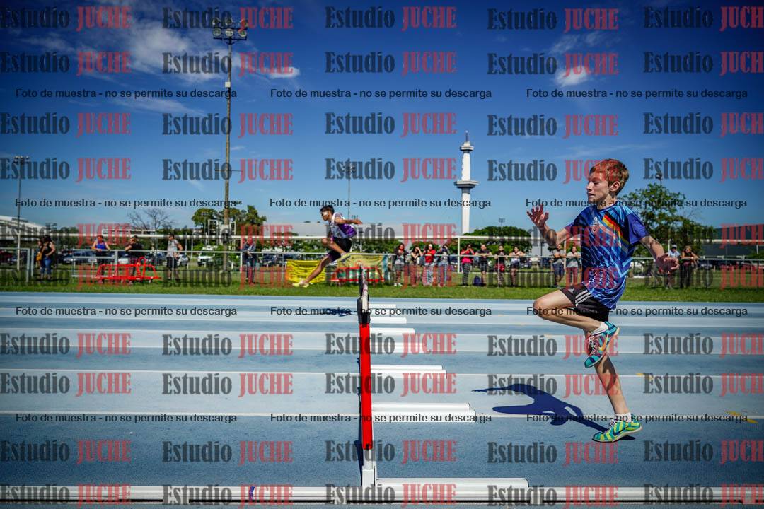Fotos de los 110 m con vallas de varones
