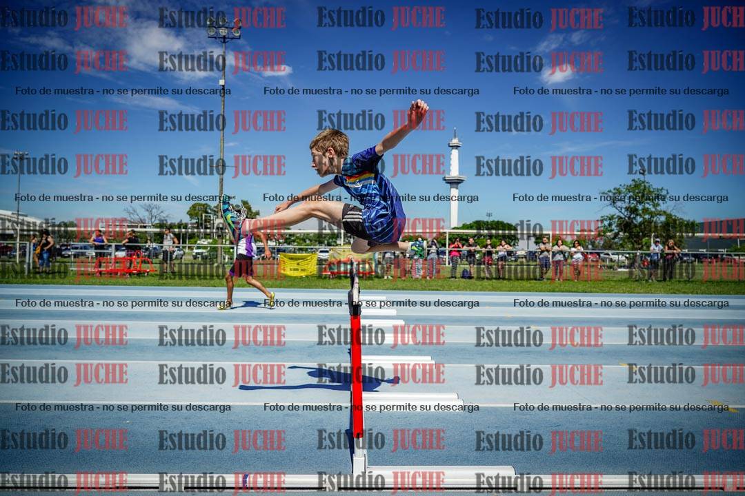 Fotos de los 110 m con vallas de varones