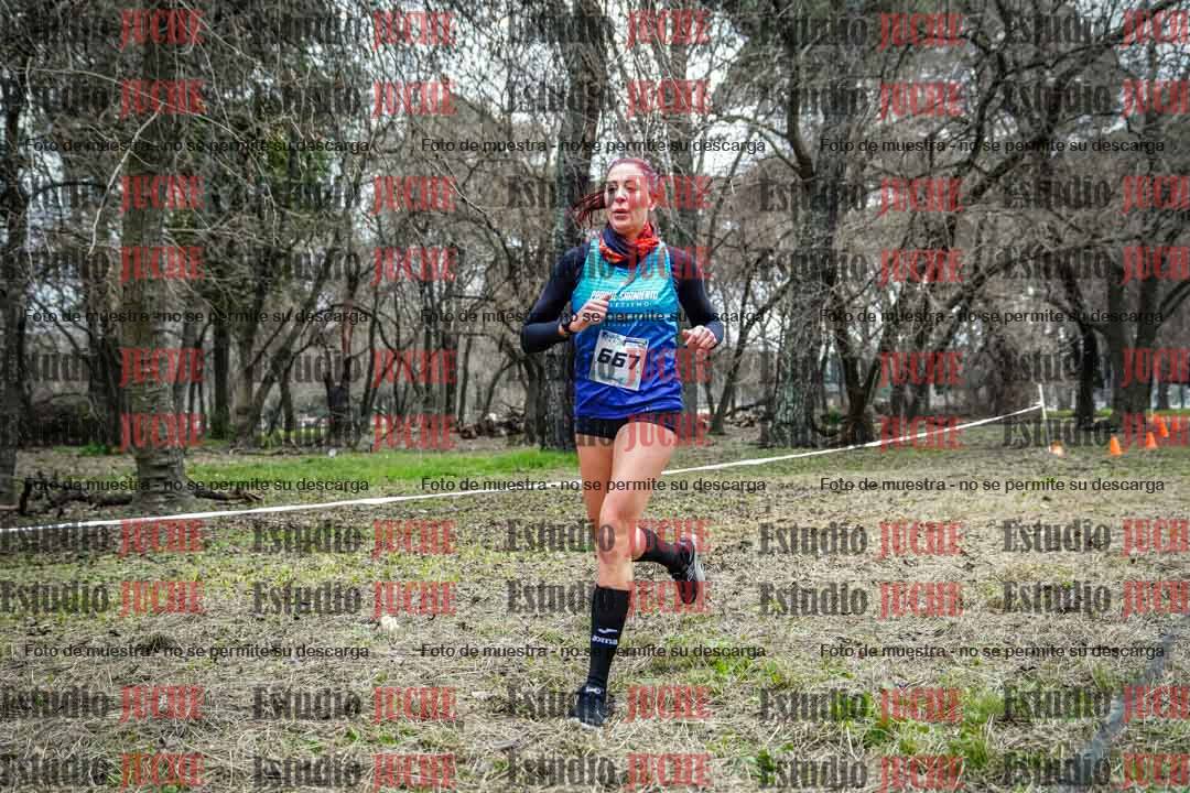 Fotos en el circuito