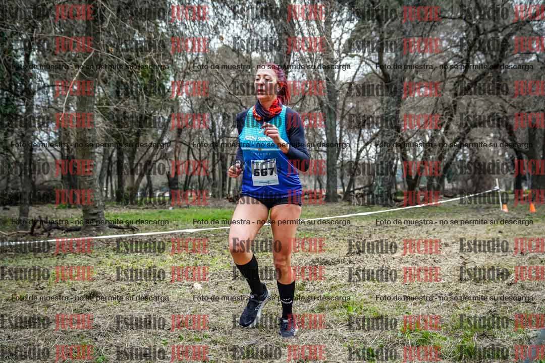 Fotos en el circuito