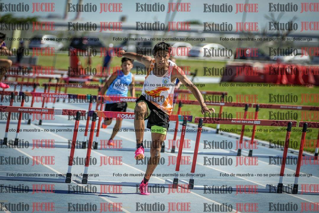 Fotos de los 110 m con vallas de varones