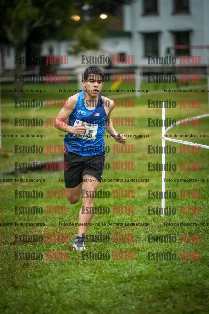 Fotos en el circuito