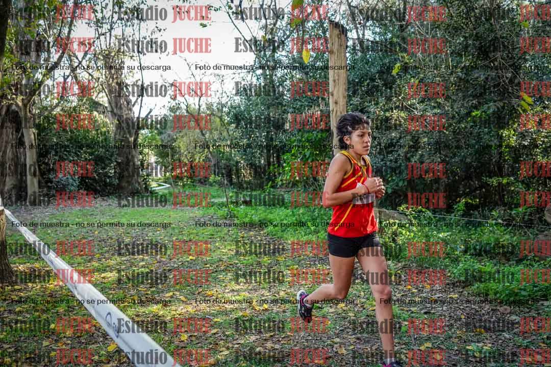 Fotos en el cuarto punto del circuito