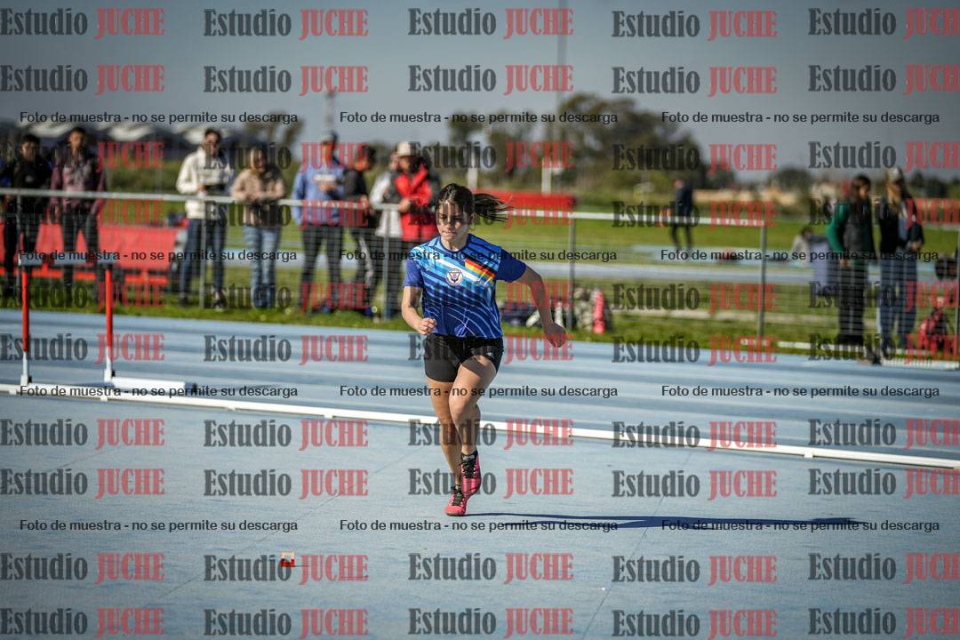 Fotos del salto en alto de mujeres