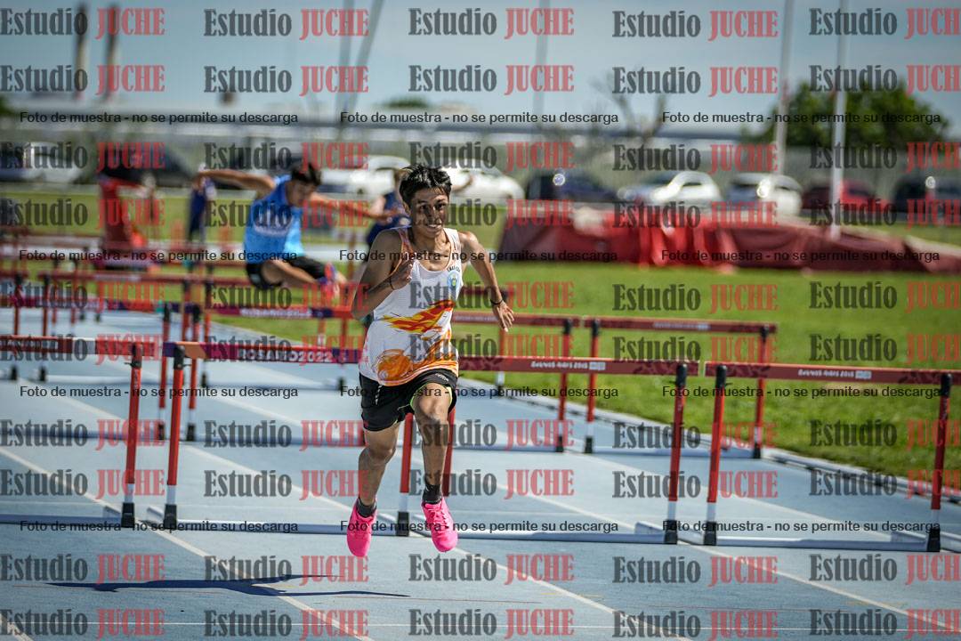 Fotos de los 110 m con vallas de varones
