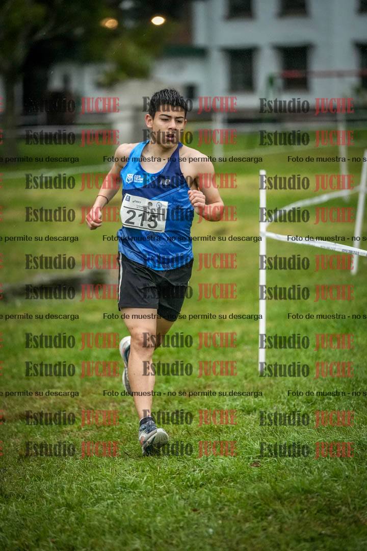 Fotos en el circuito