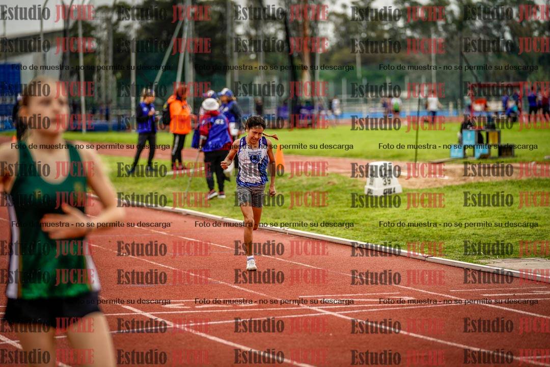 Fotos de los 295 m con vallas de mujeres