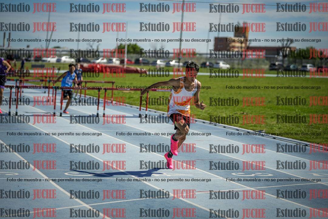 Fotos de los 110 m con vallas de varones