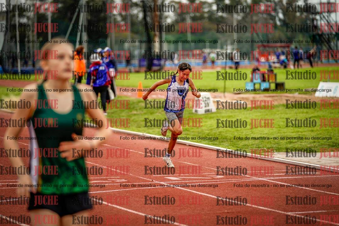 Fotos de los 295 m con vallas de mujeres